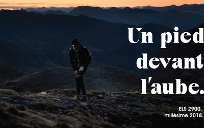 ELS 2900 – PART II